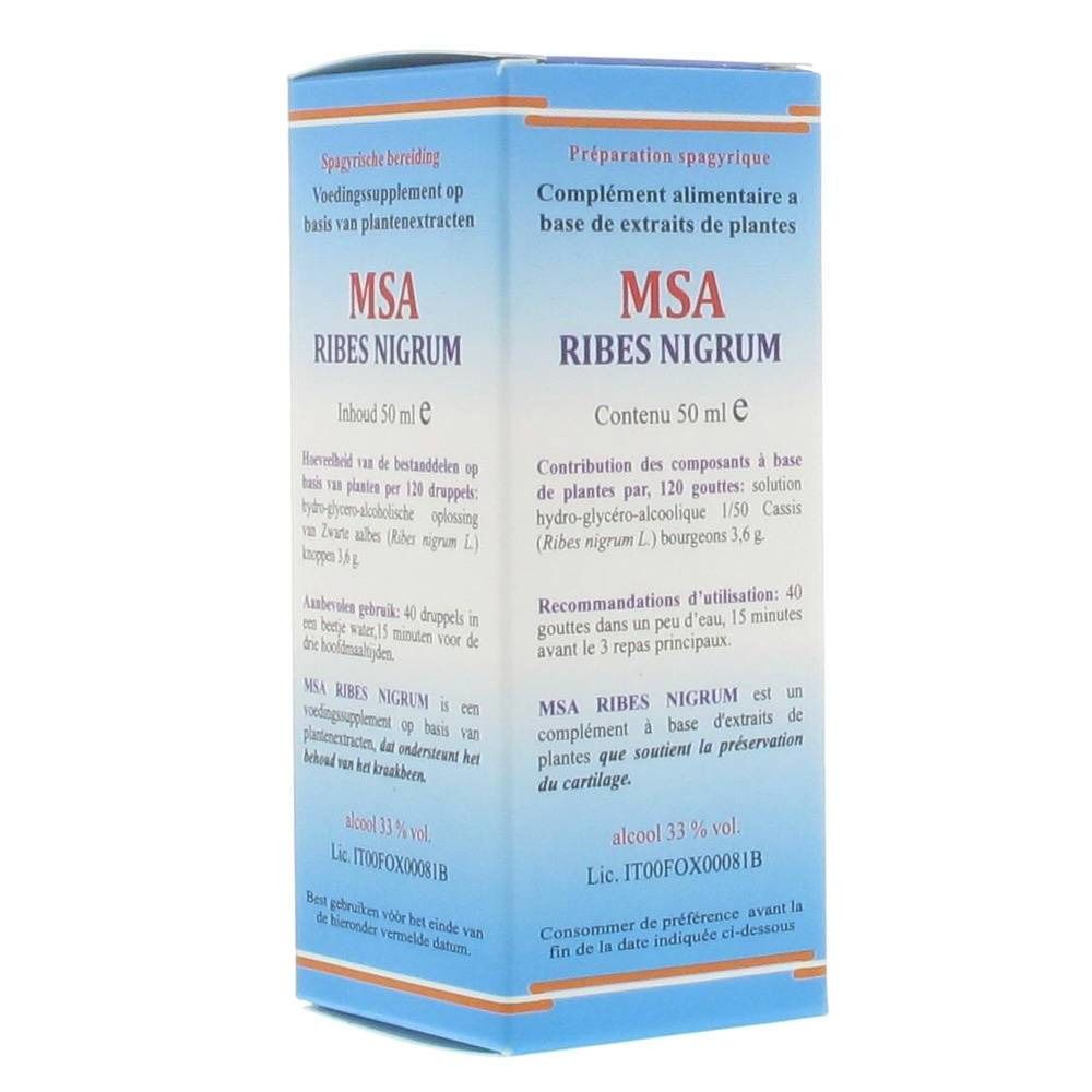 Ribes Nigrum Msa Macerate Ml Redcare