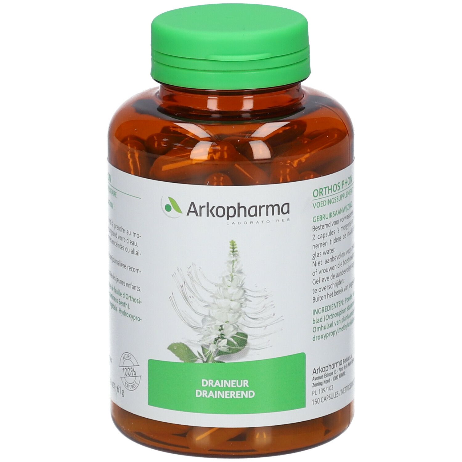Arkogelules Orthosiphon Vegetale