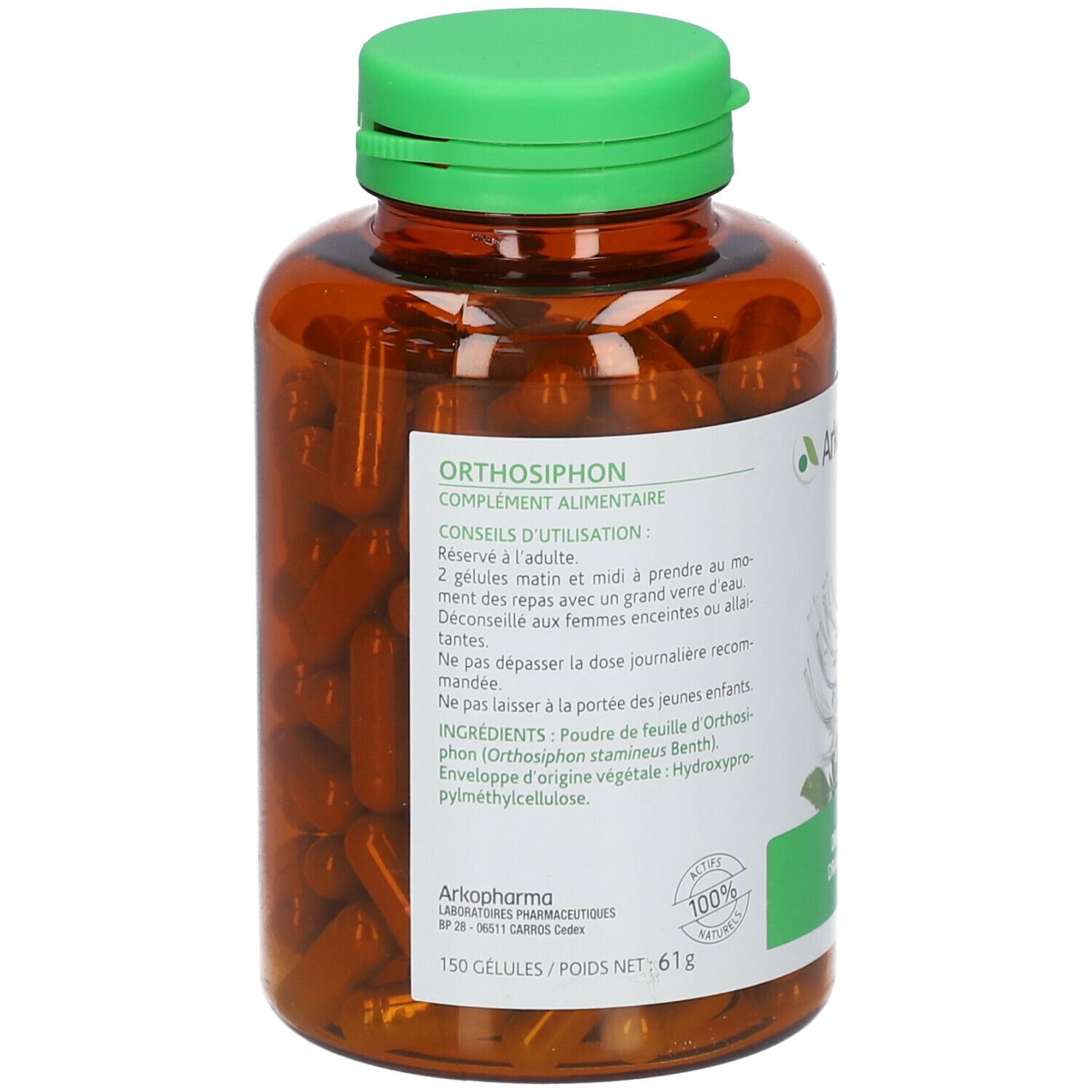 Arkogelules Orthosiphon Vegetale