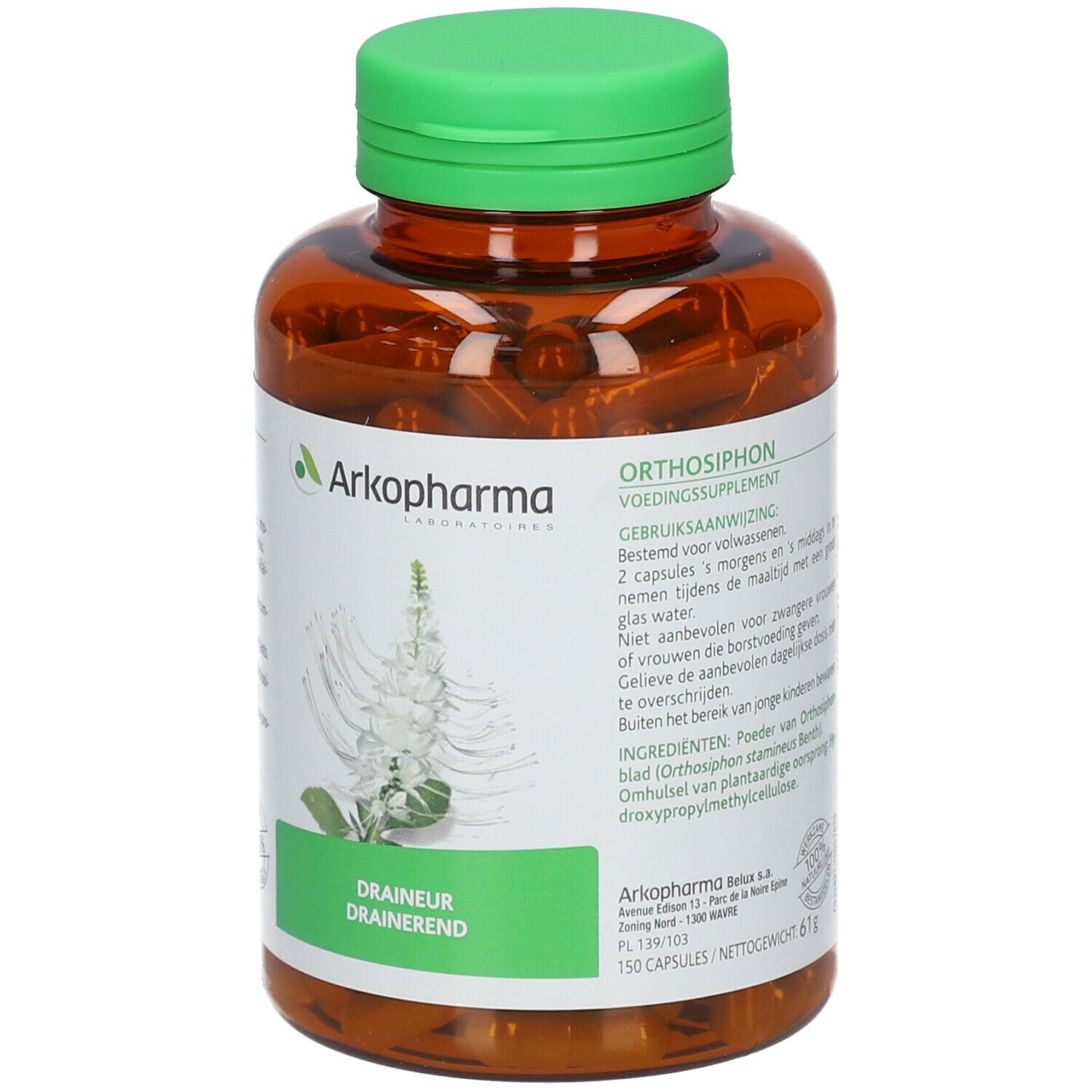 Arkogelules Orthosiphon Vegetale