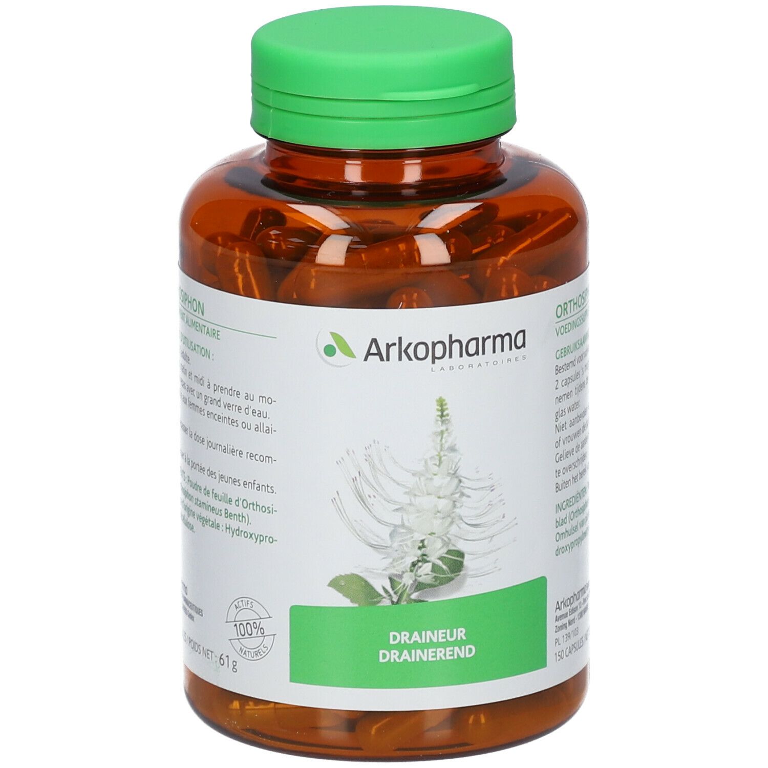 Arkogelules Orthosiphon Vegetale
