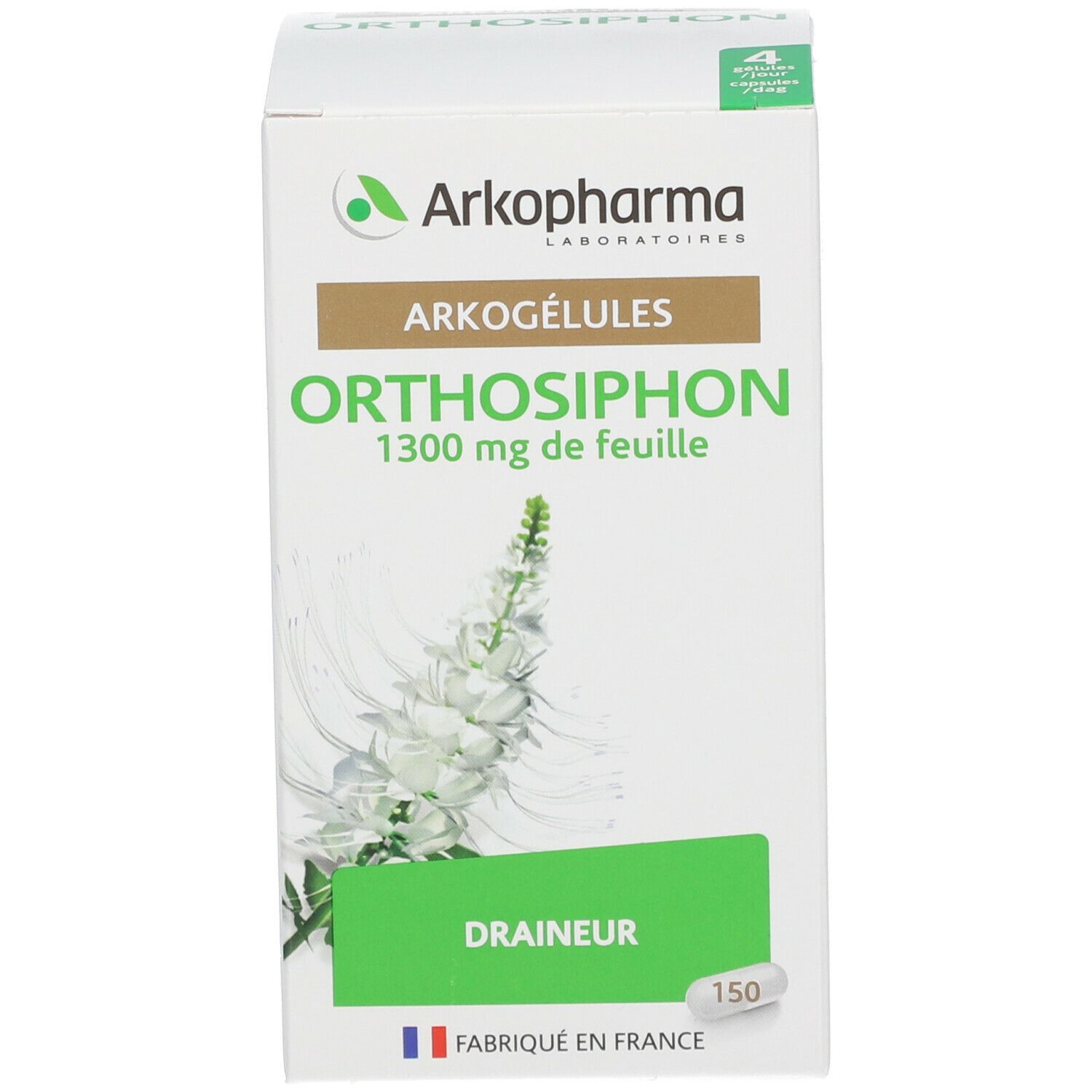 Arkogelules Orthosiphon Vegetale