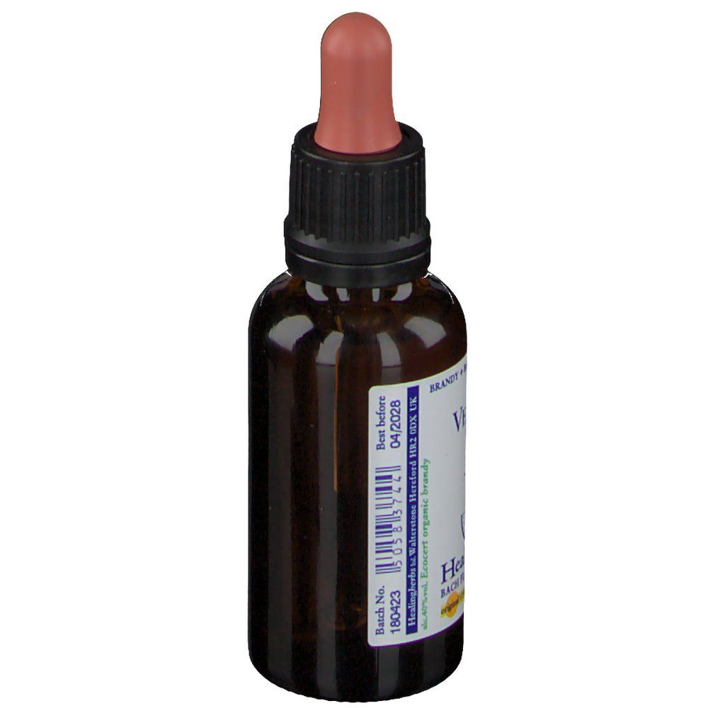 Healing Herbs Vervain
