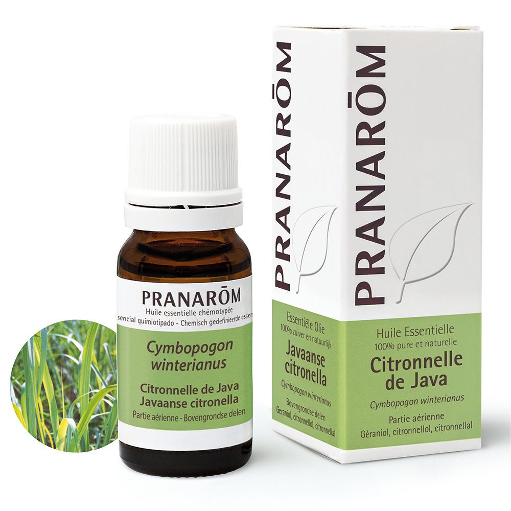 Pranarom Citronella de Java Essential Oil