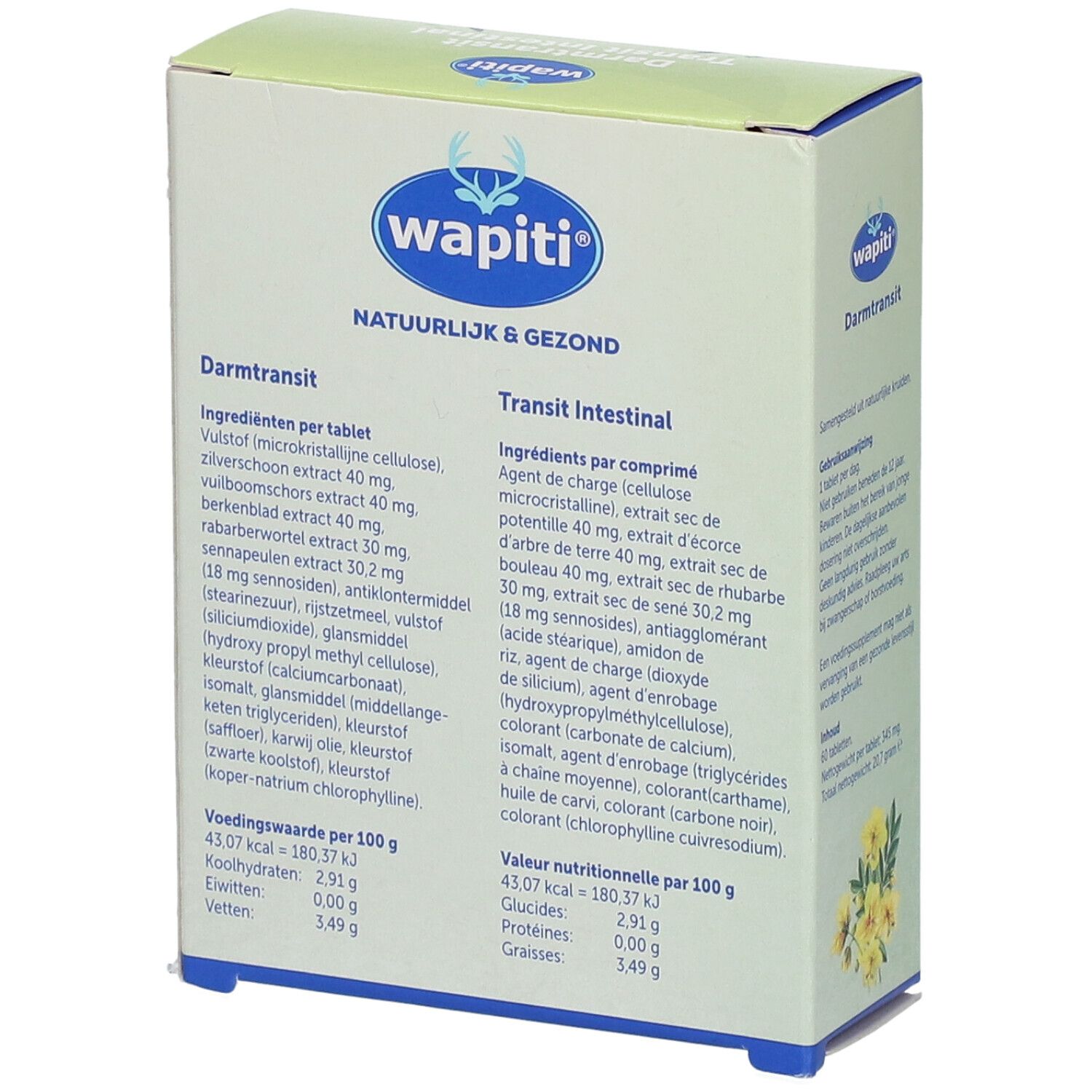 Wapiti tránsito intestinal