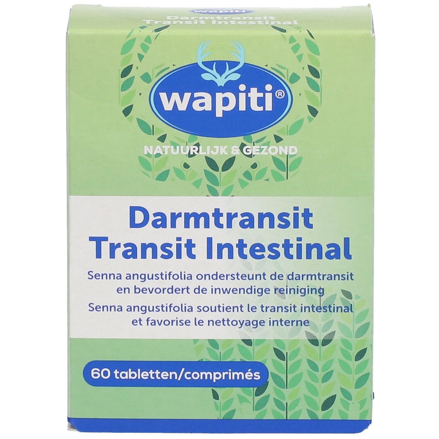 Wapiti tránsito intestinal