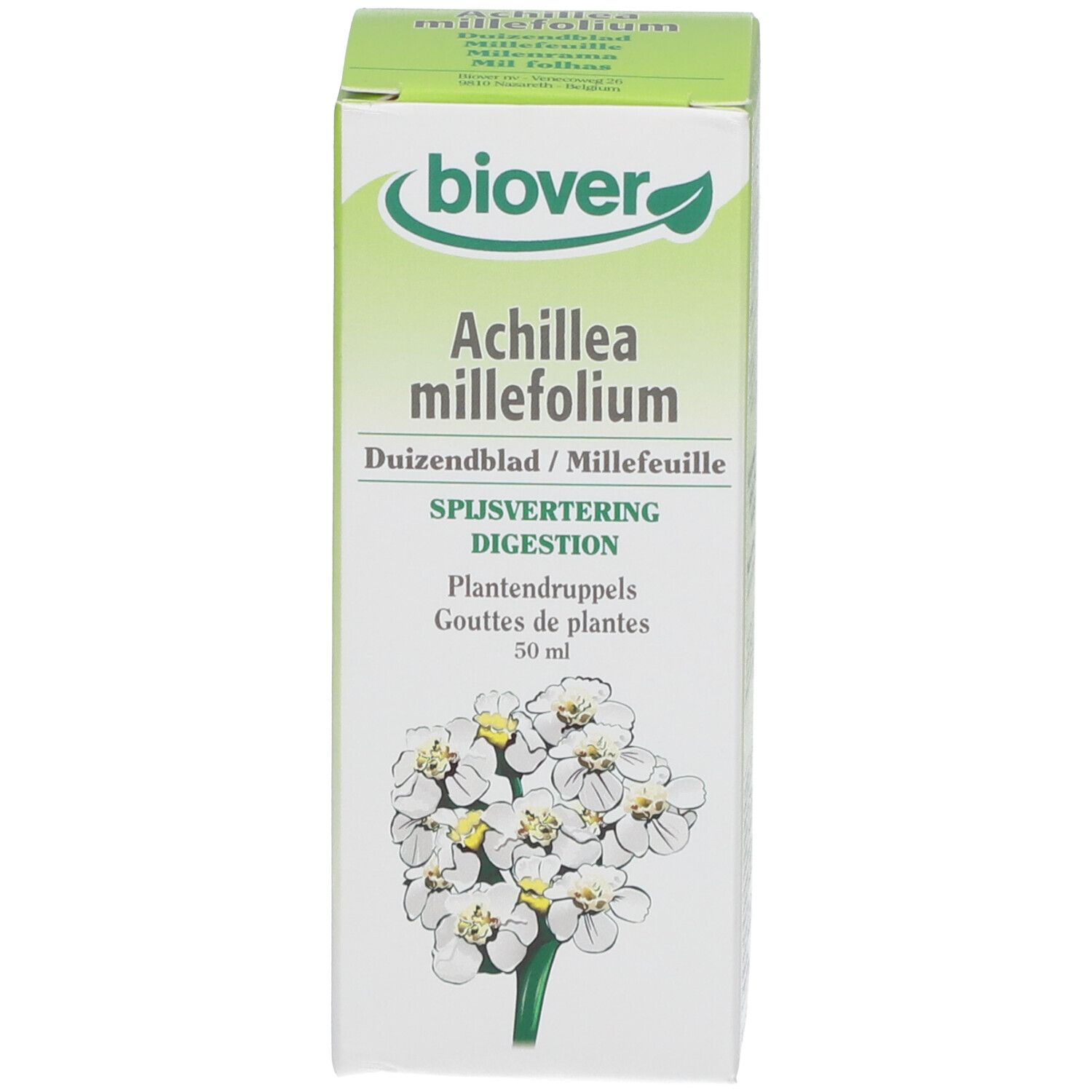Biover Achillea Millefolium