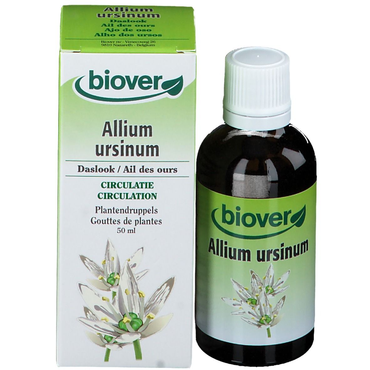 Biover Aglio Orsino