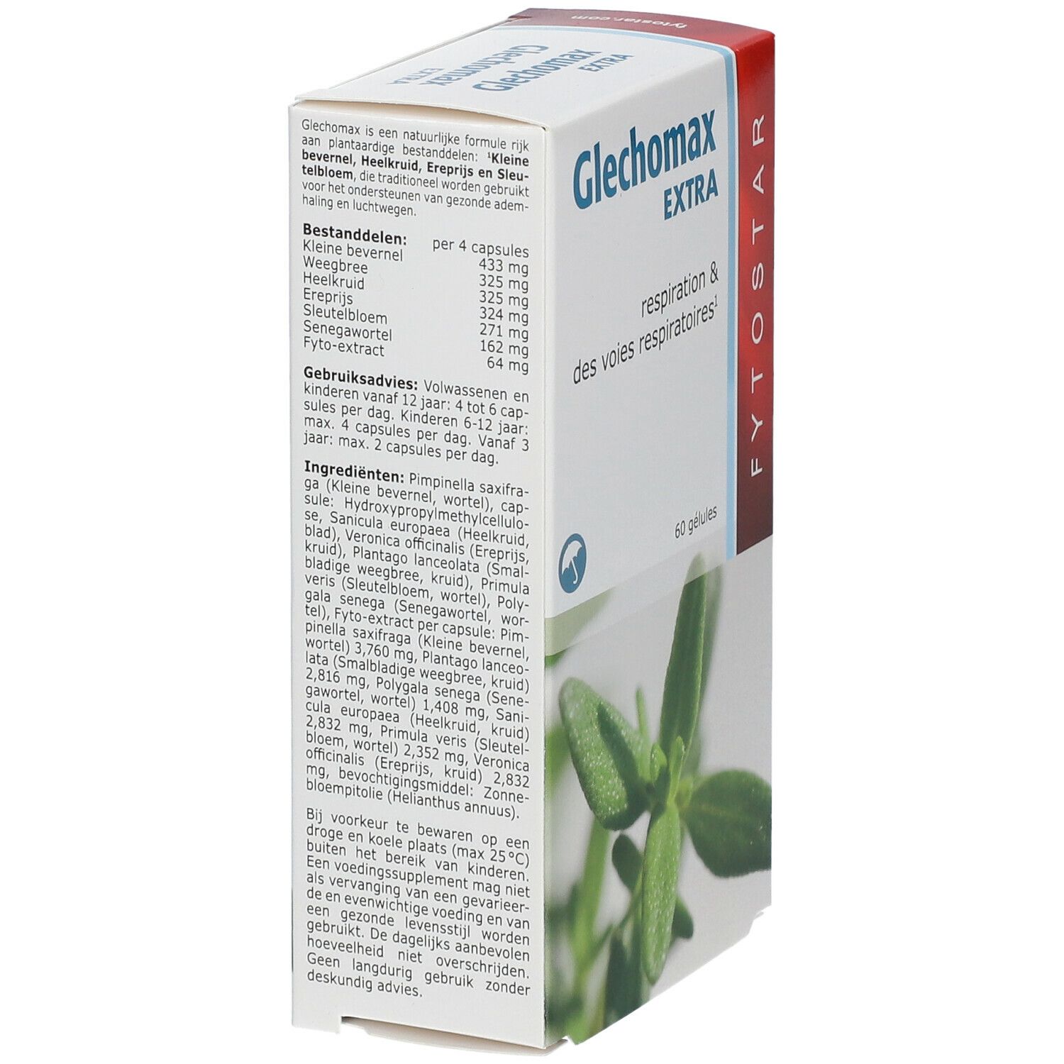 Fytostar Glechomax