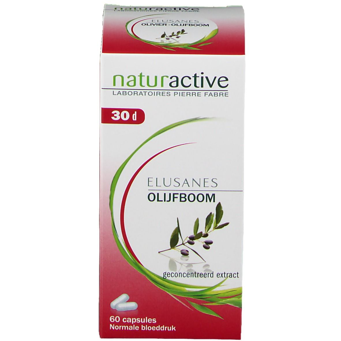 Elusanes Olive Tree
