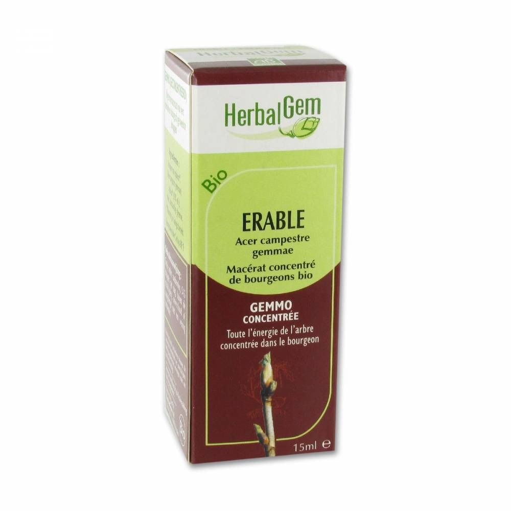 Herbalgem Maple Macerate