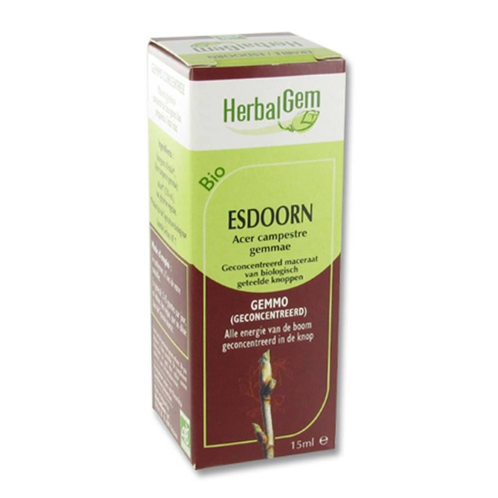 Herbalgem Maple Macerate