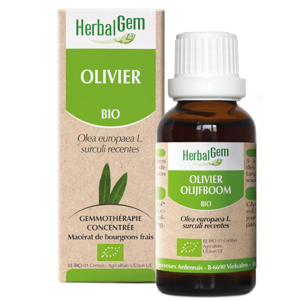 Herbalgem Olive Tree Macerate