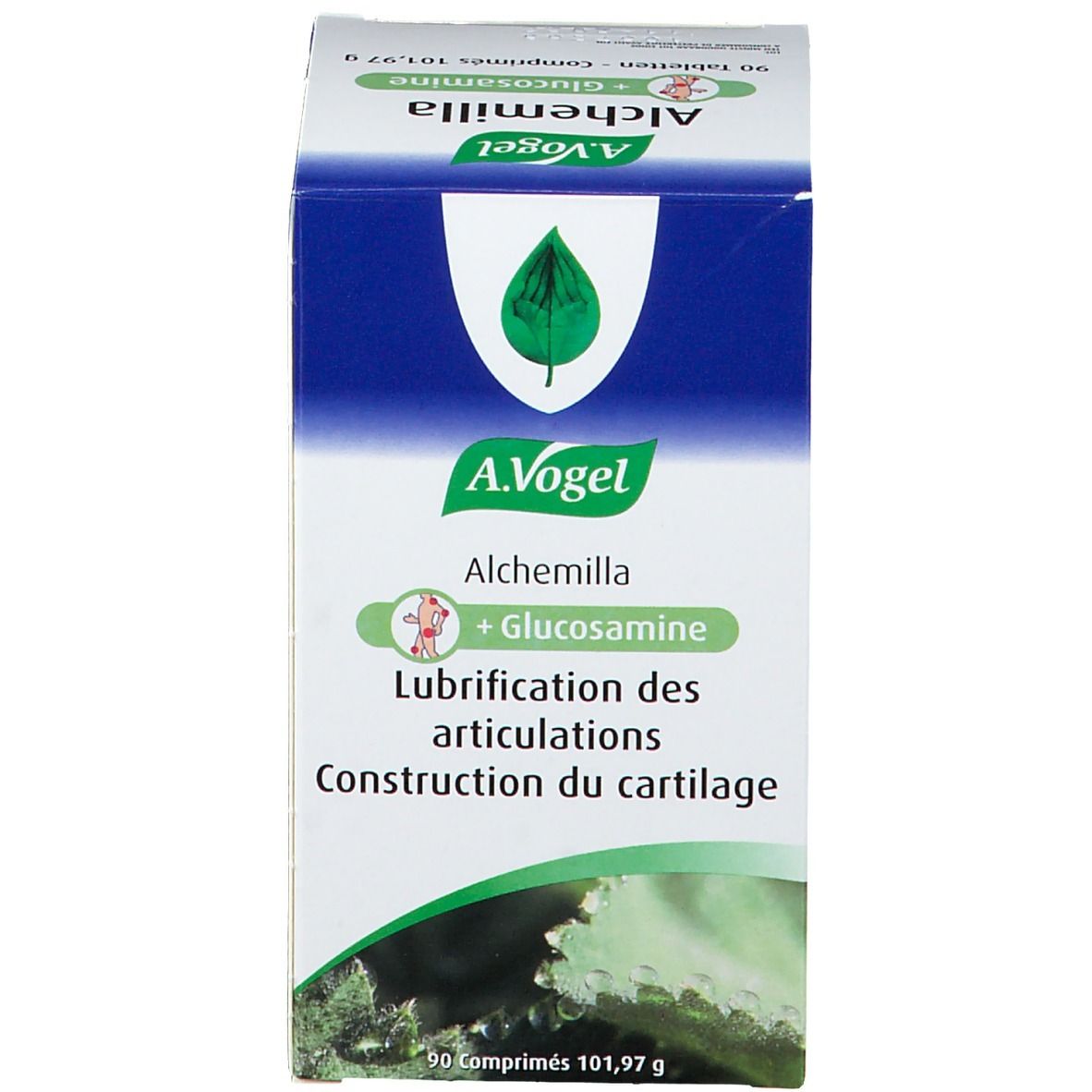 Scatola bianca con scritta: A.Vogel Alchemilla + Glucosamine. Testo: Lubrication des articulations, Construction du cartilage.