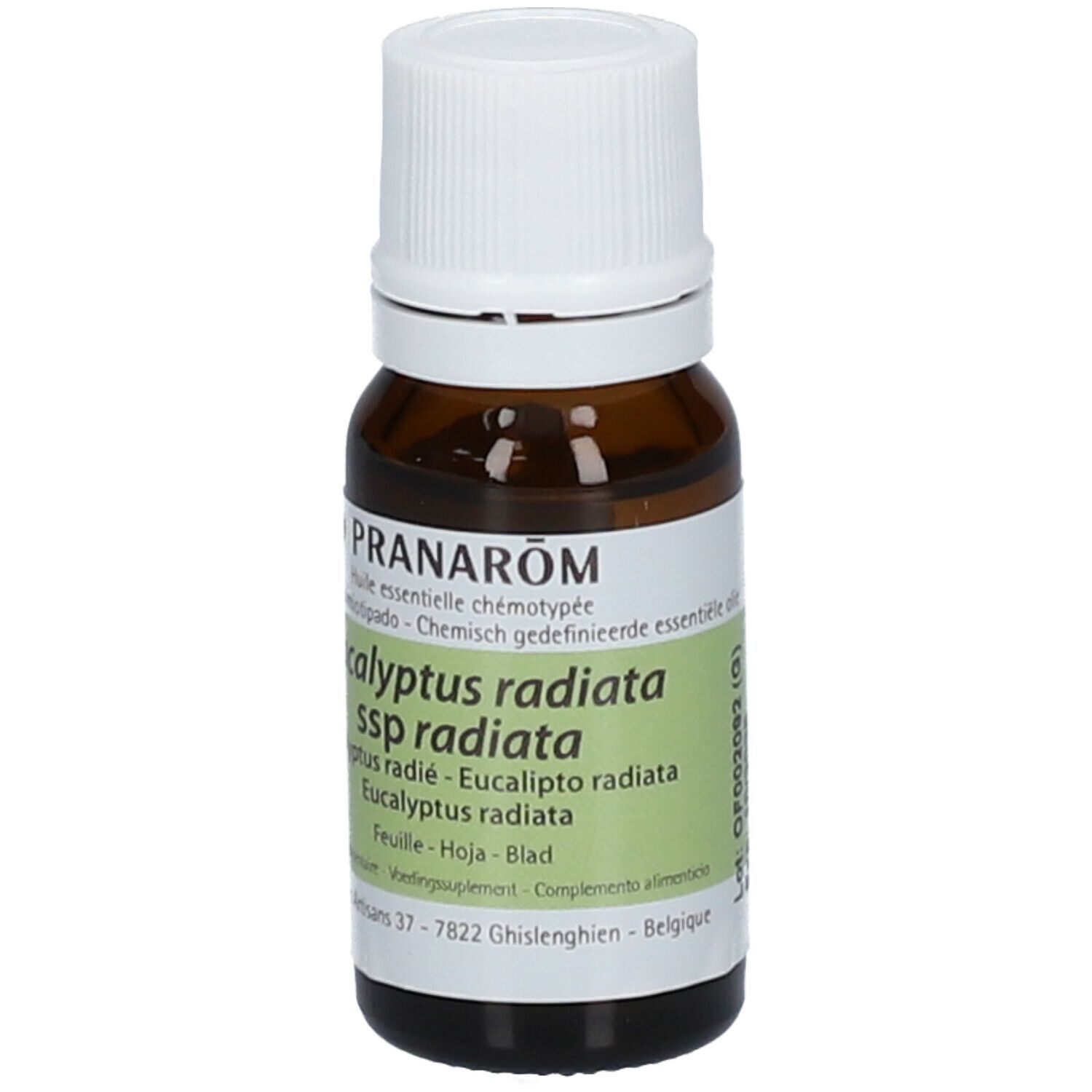 Flacone di vetro marrone con tappo bianco. Etichetta con informazioni sul prodotto. Marca: PRANAROM. Eucalyptus radiata.