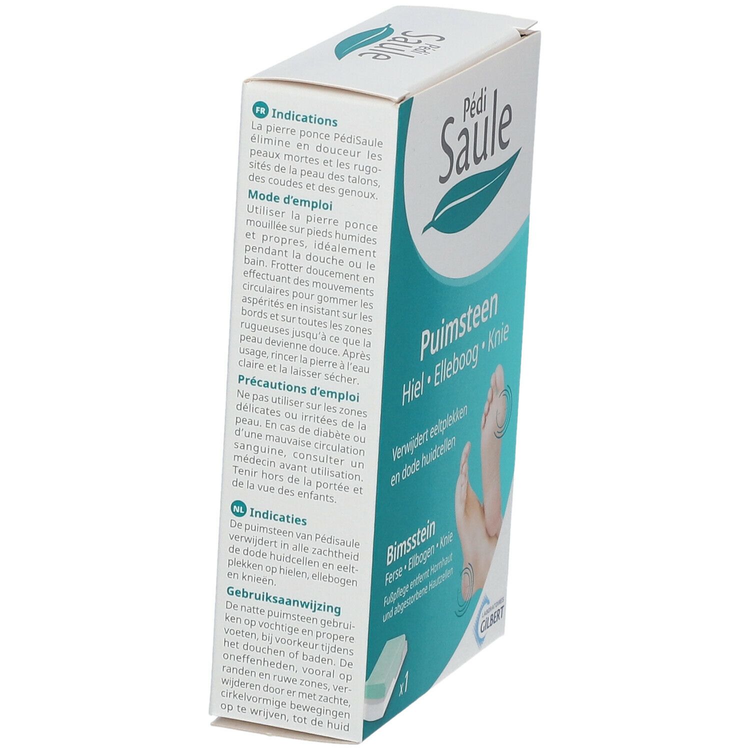 Feuille De Saule Pedisaule Maxipierre