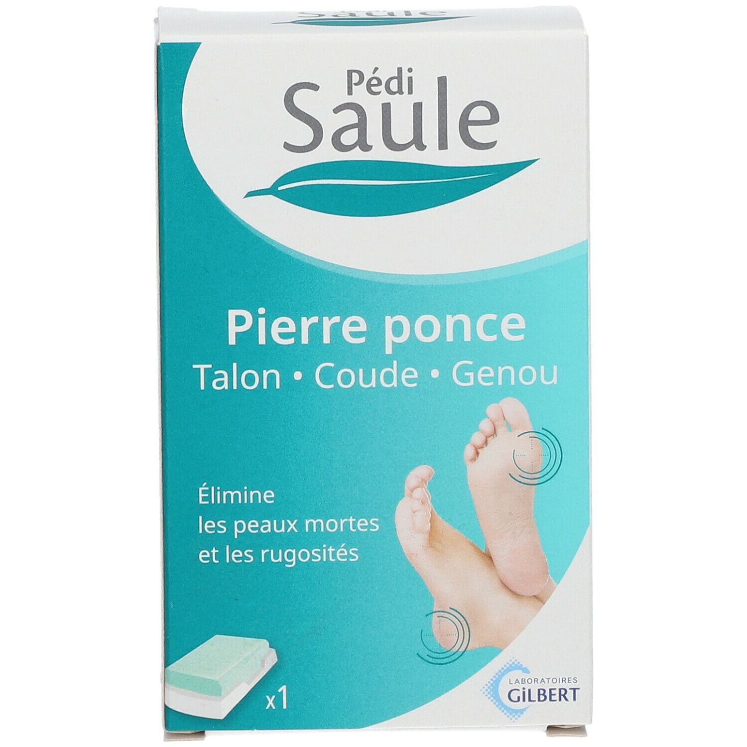 Feuille De Saule Pedisaule Maxipierre