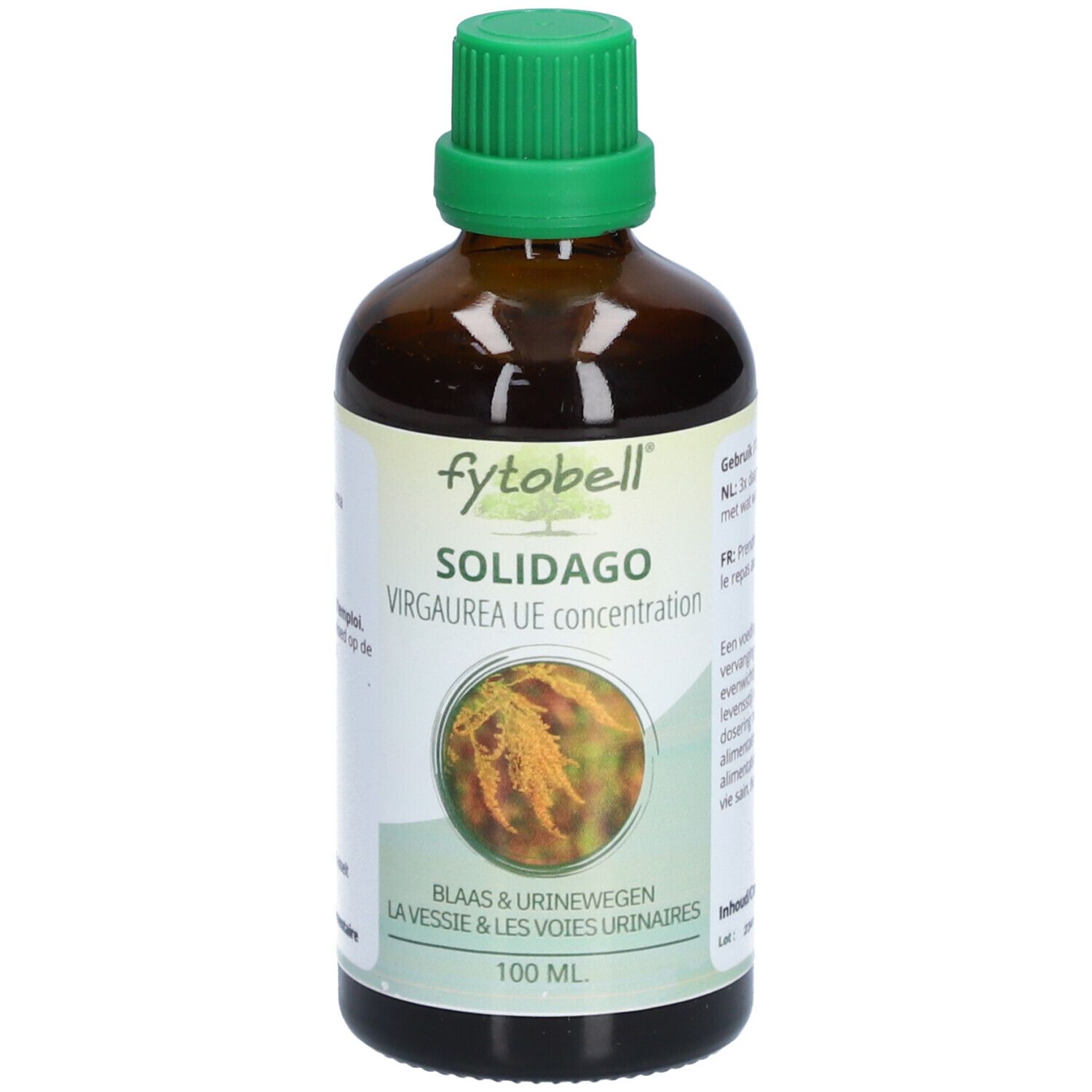 Fytobell Solidago Virgaurea UE