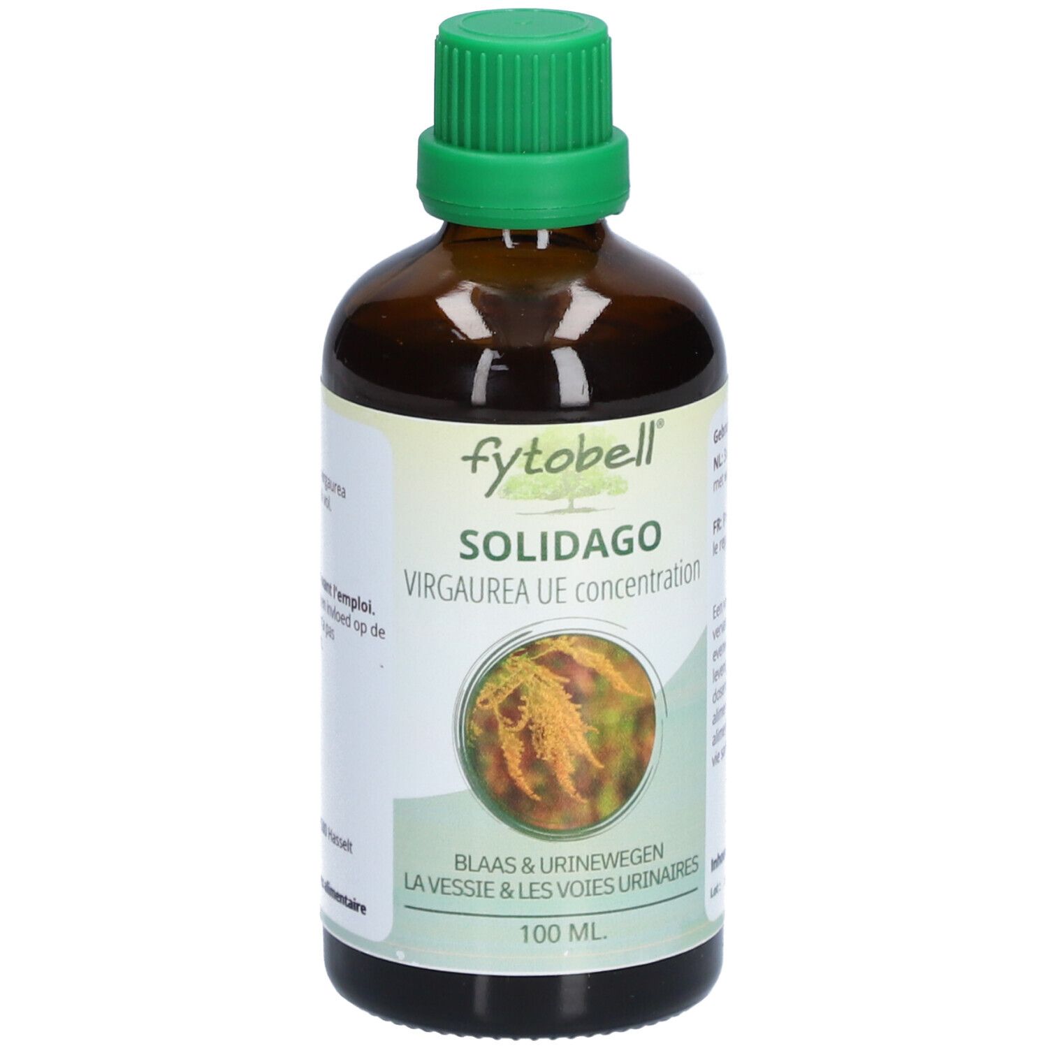 Fytobell Solidago Virgaurea UE