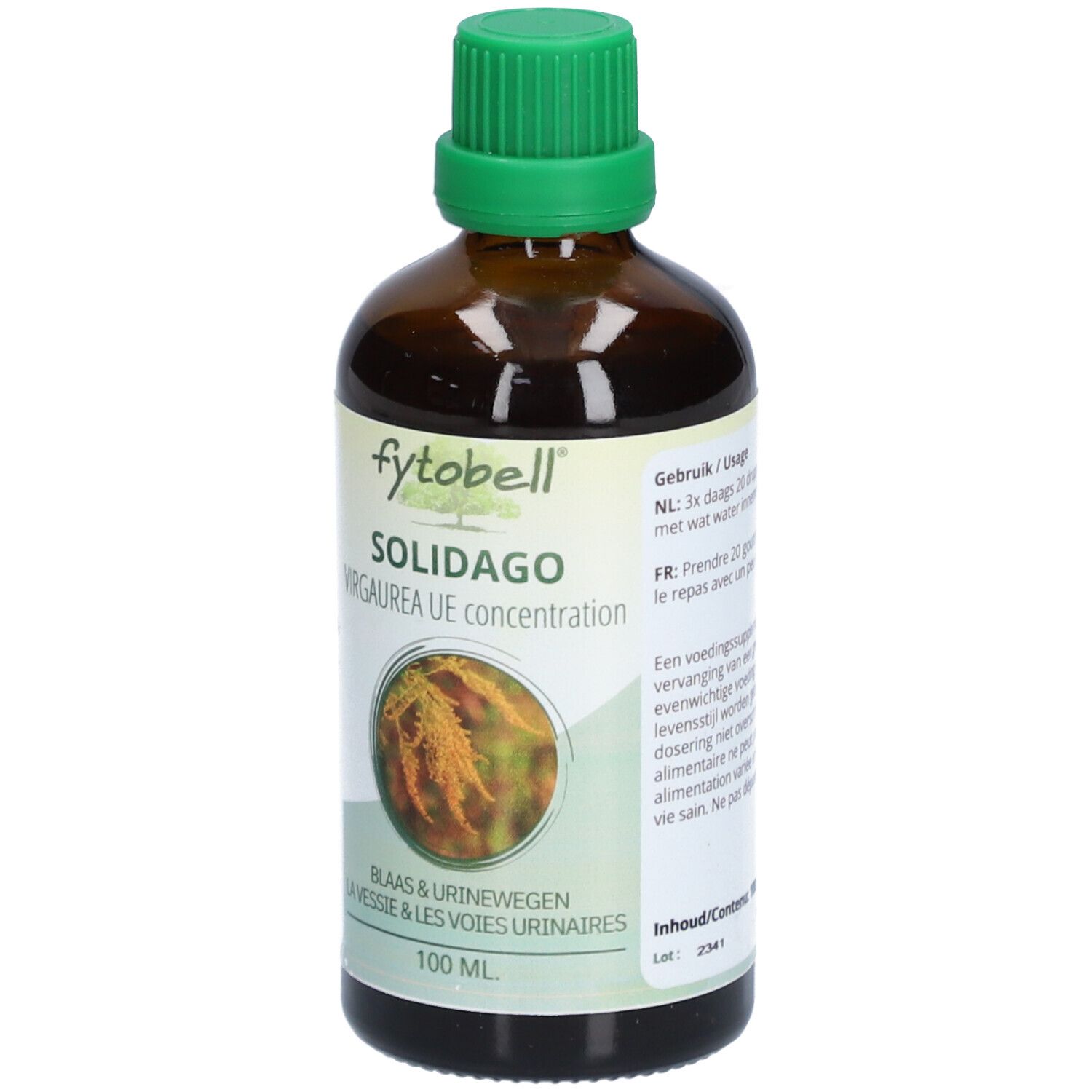 Fytobell Solidago Virgaurea UE