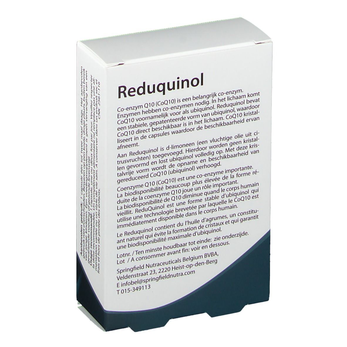 Retro della scatola Springfield Reduquinol 50 mg. Testo multilingue. Confezione bianca con design blu.
