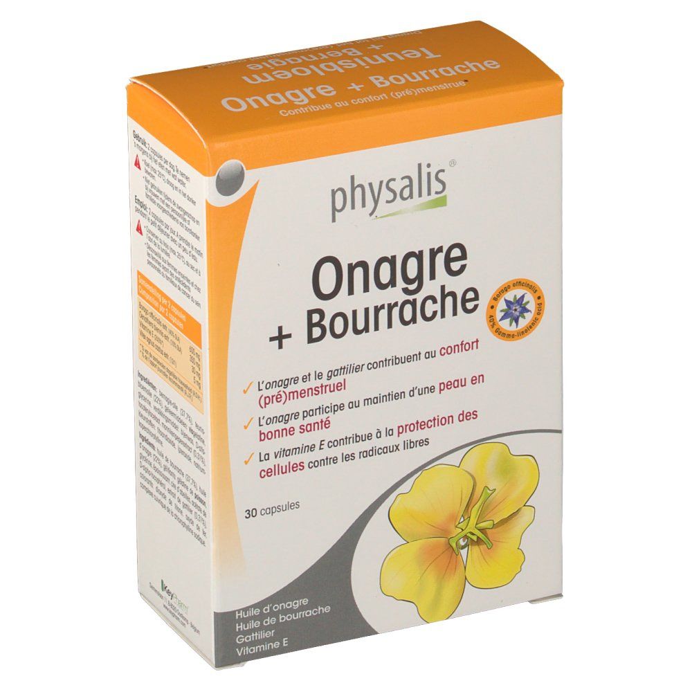 Oenothera + Bernagie