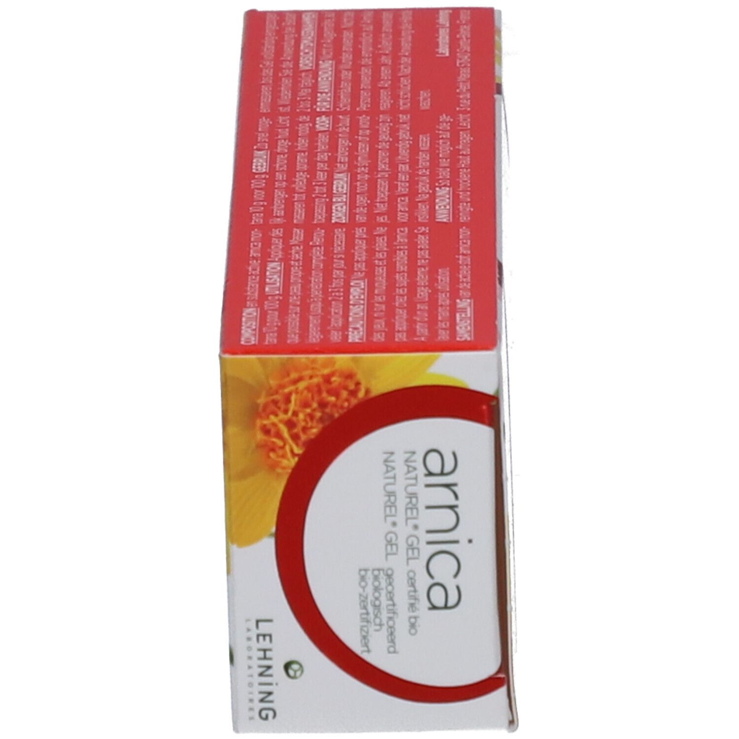 Lehning Laboratoires Arnica Gel Naturel