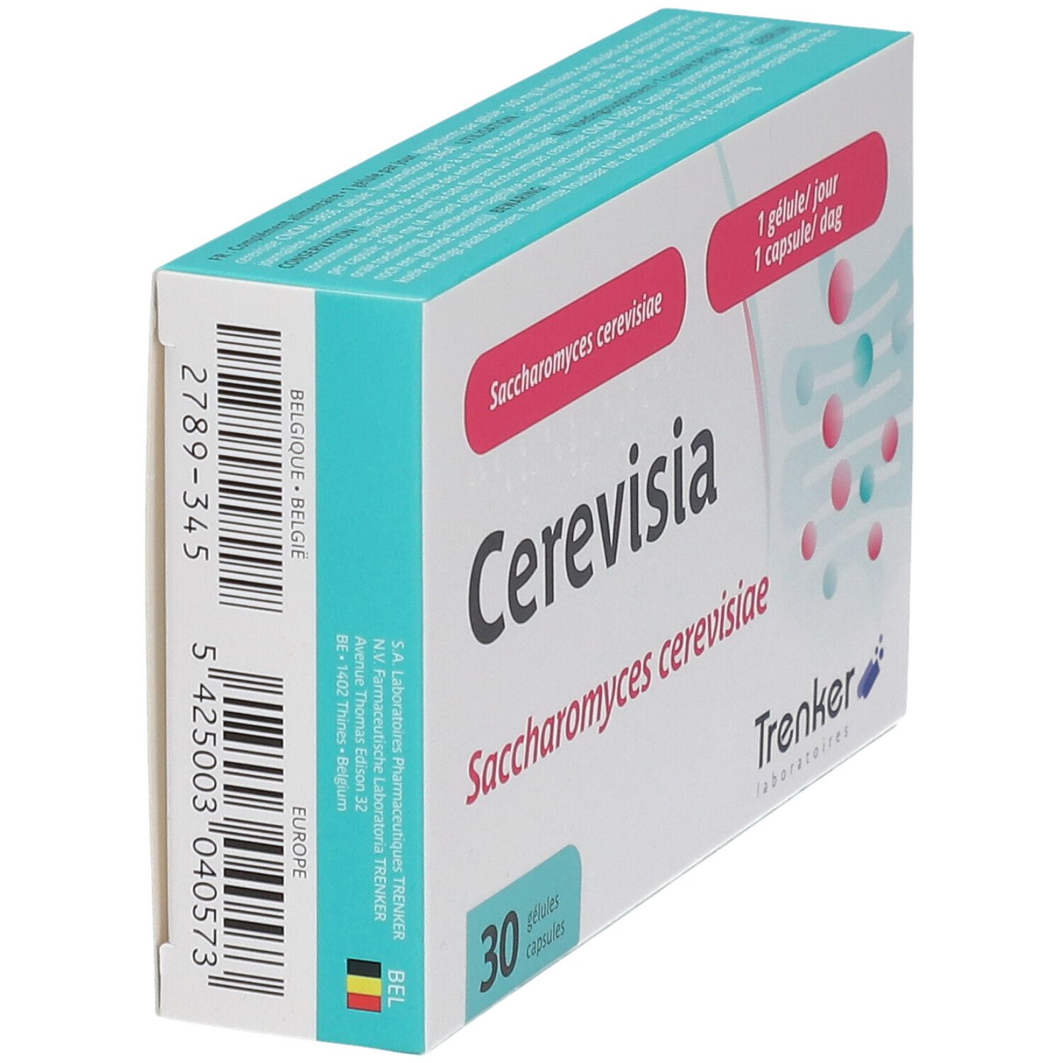 Donna che si allunga, Imutis Cerevisia supporta la funzione intestinale.