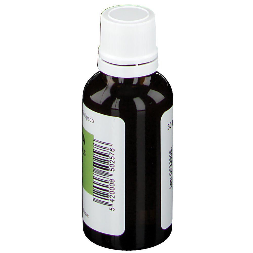 Pranarom Eucalyptus Radiata Essential Oil