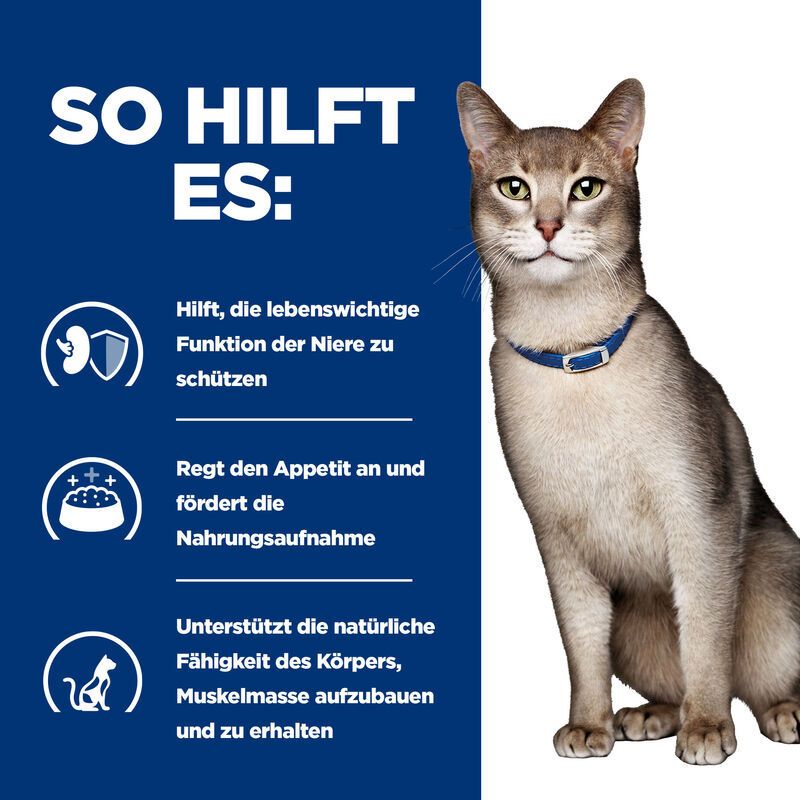 Hill's PRESCRIPTION DIET k/d Alimento per Gatti con Salmone