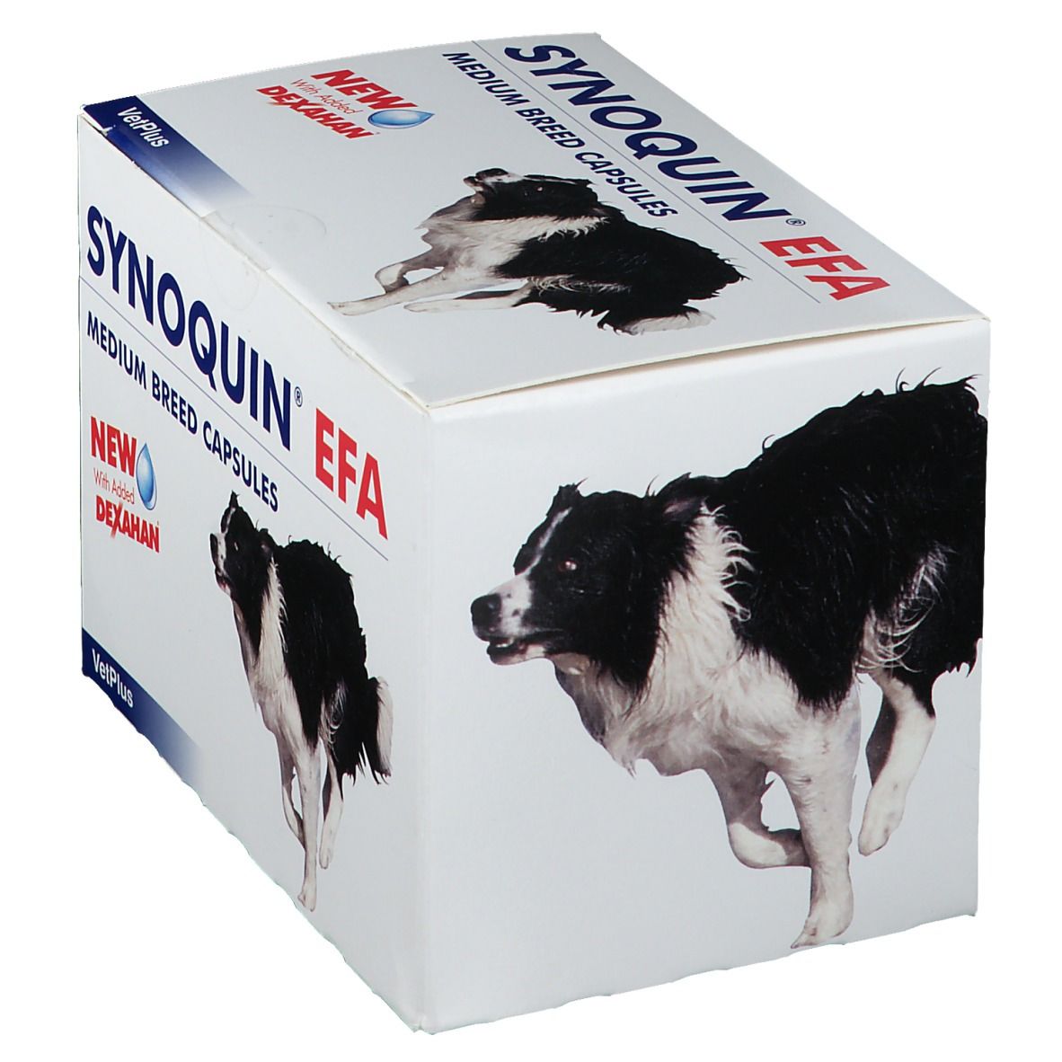 Synoquin Efa Dog Medium Breed