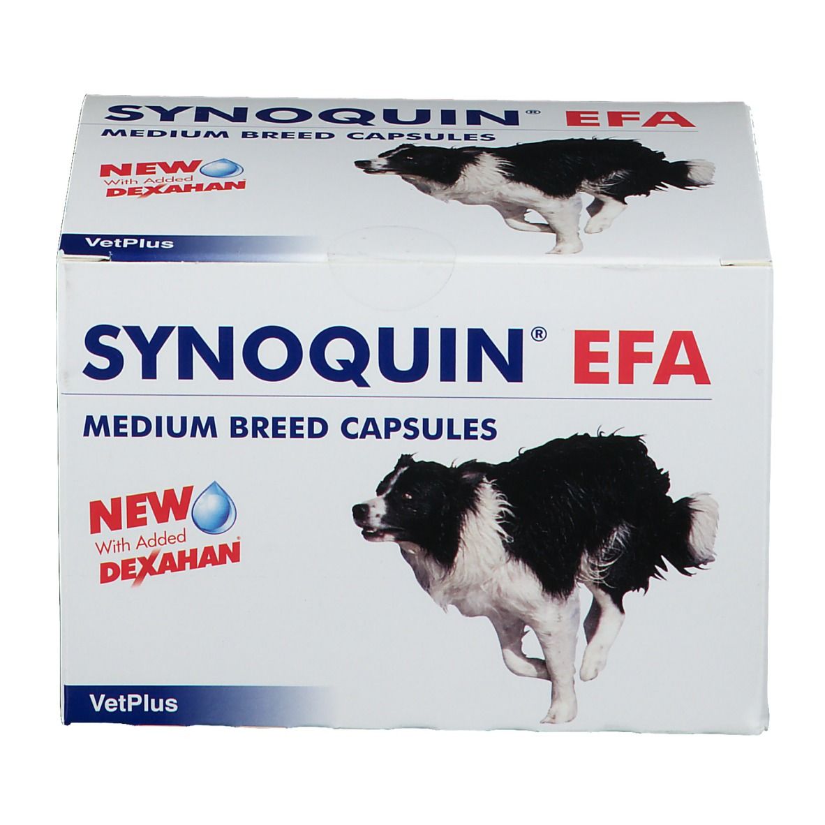 Synoquin Efa Dog Medium Breed