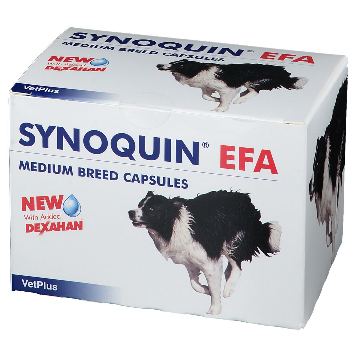 Synoquin Efa Dog Medium Breed