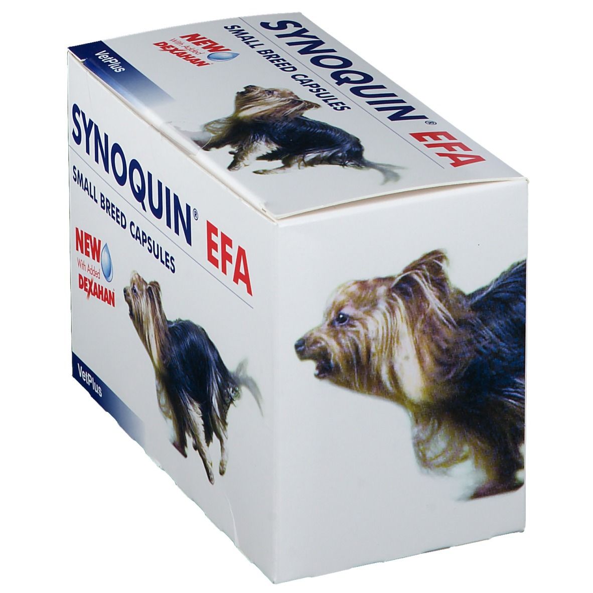 Confezione del prodotto con testo. Scritto: Synoquin EFA, Small Breed Capsules. Immagine di cane. Con Dexahan.