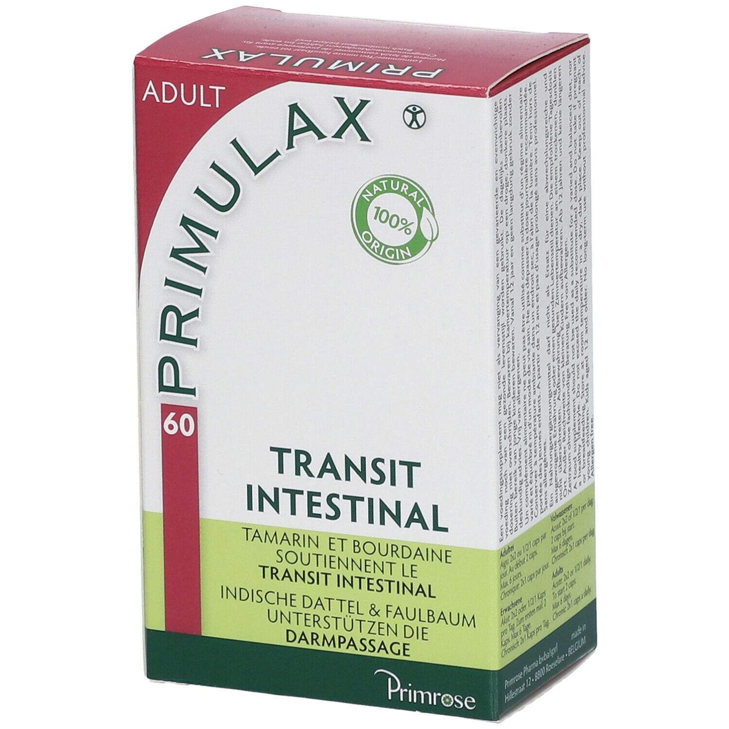 Primrose Primulax