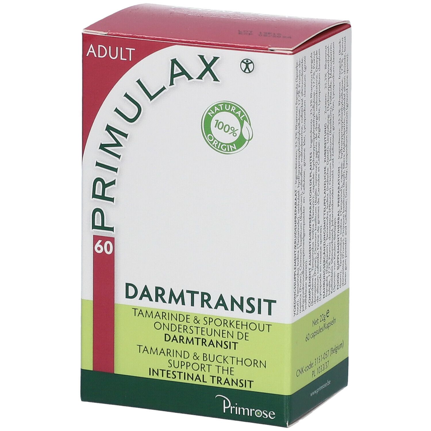 Primrose Primulax
