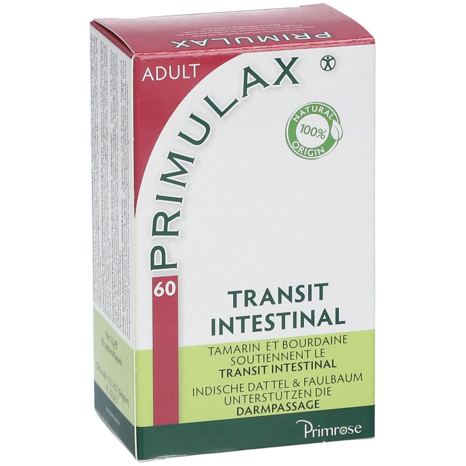 Primrose Primulax