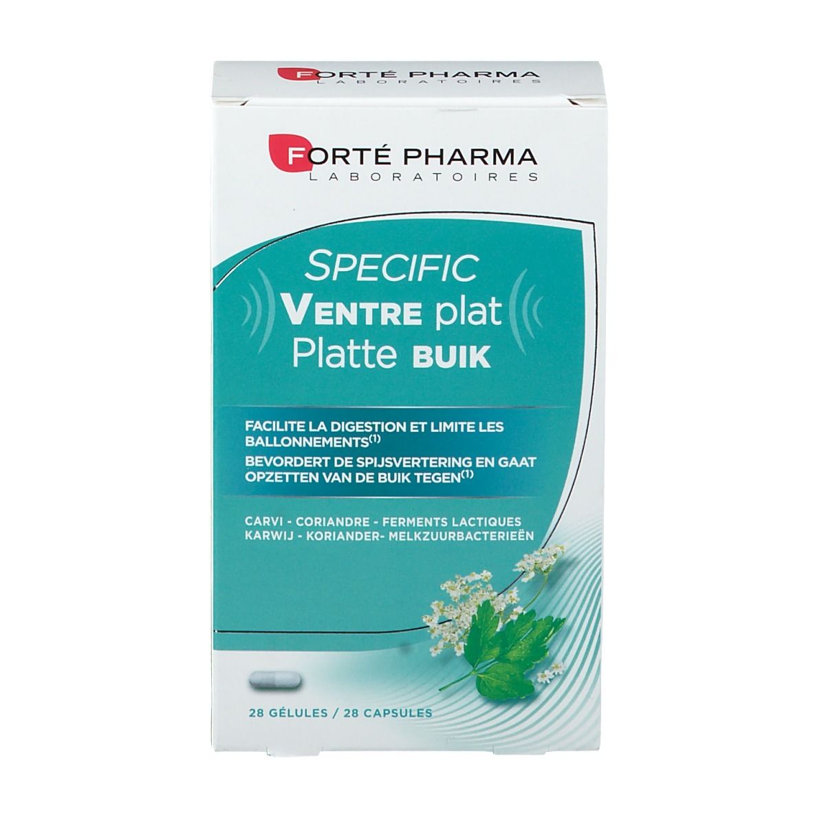 Forté Pharma Specific Flat Belly