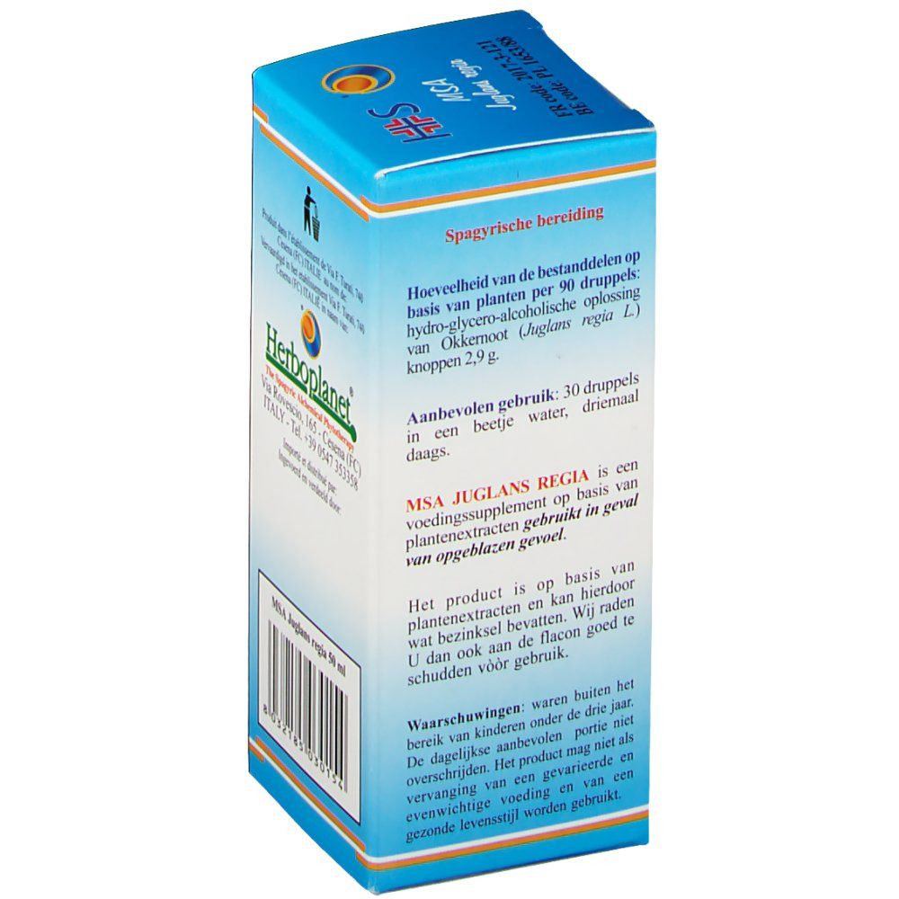 Juglans Regia MSA Macerate