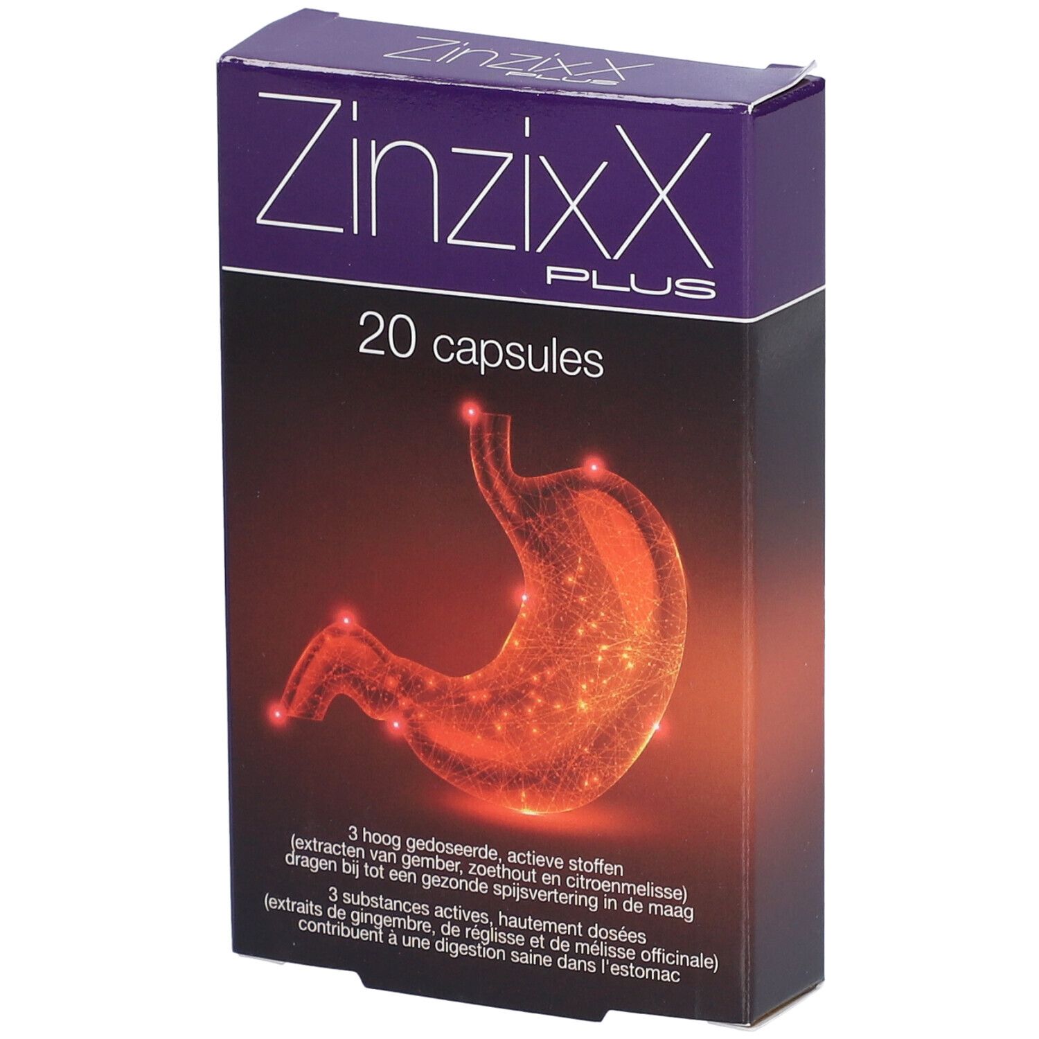 Zinzixx Plus