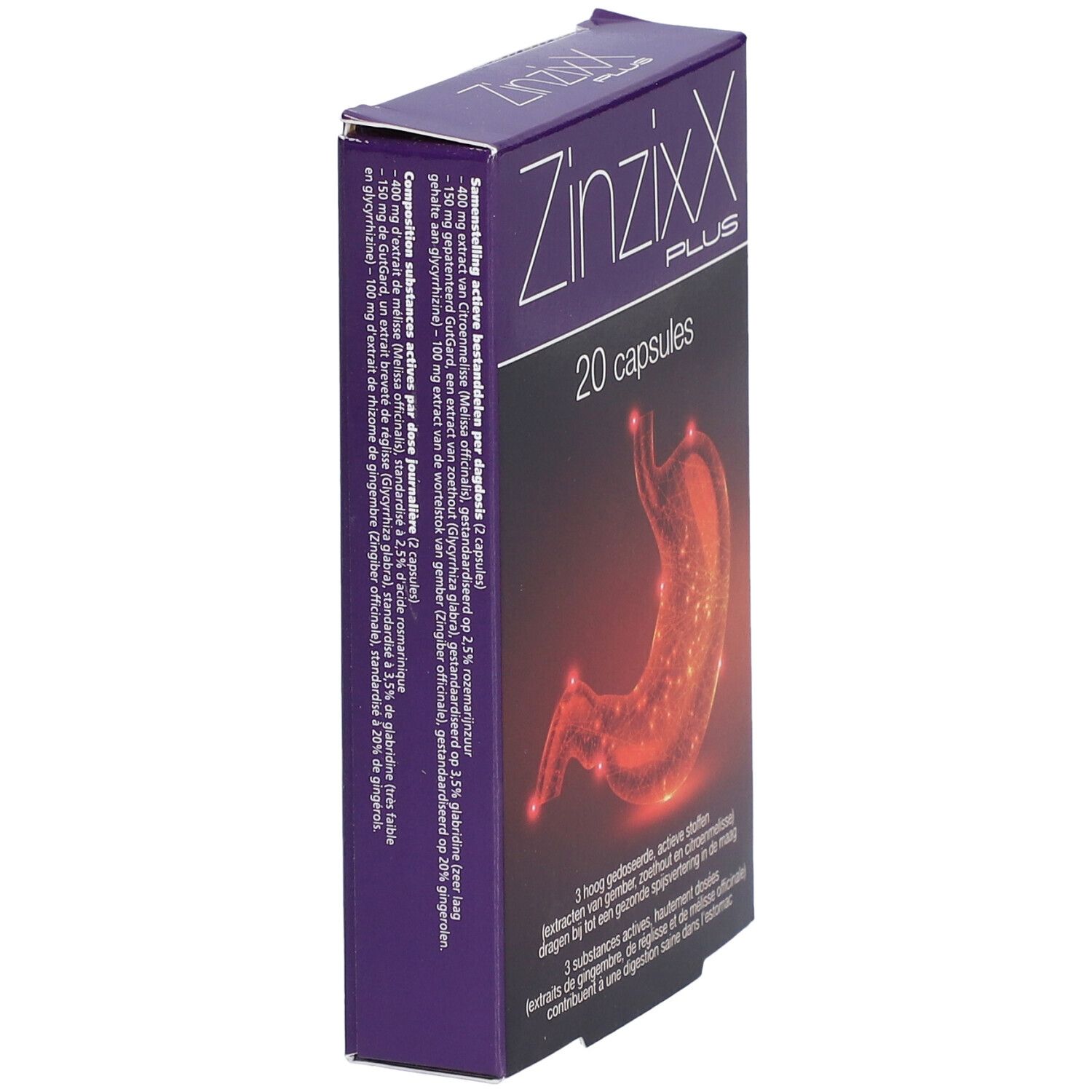 Zinzixx Plus