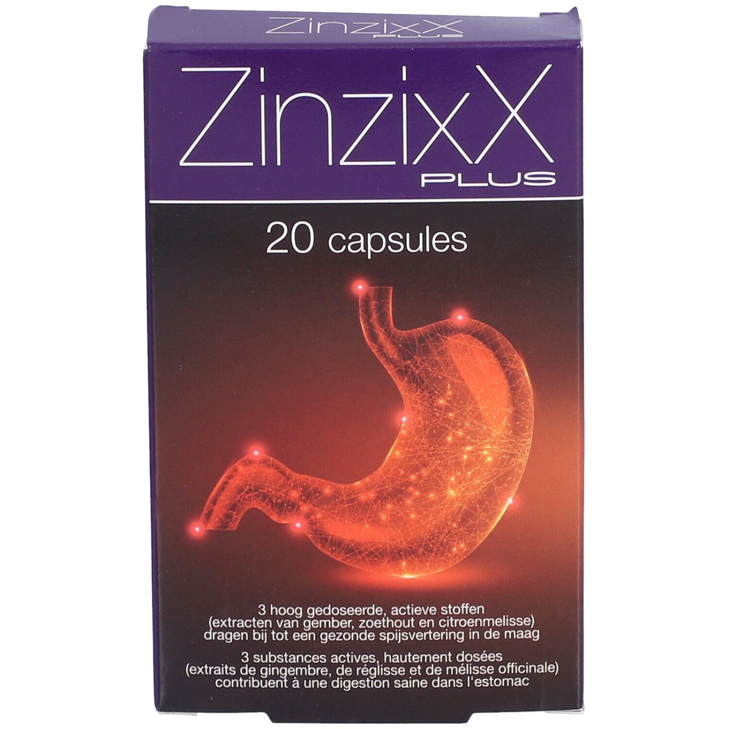 Zinzixx Plus