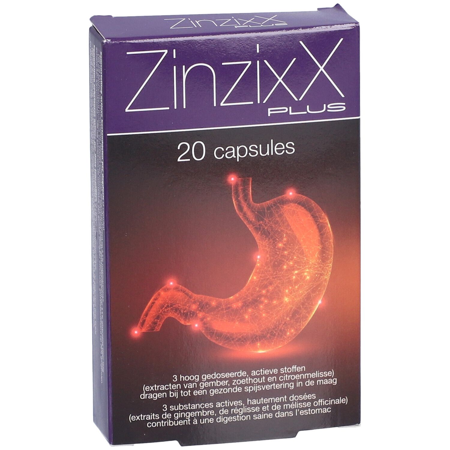 Zinzixx Plus