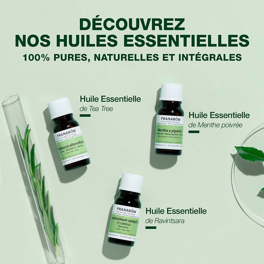 Tre flaconi di oli essenziali. Testo: Huile Essentielle de Tea Tree, Menthe poivrée, Ravintsara.