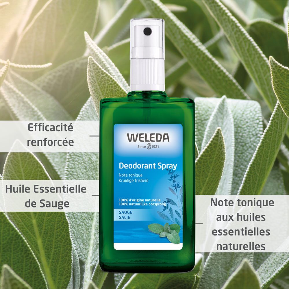 Flacone spray verde con erogatore bianco. Scritta: Weleda Deodorant Spray, Salvia. Sfondo: foglie di salvia.