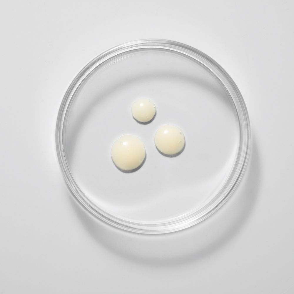 Tre gocce di siero giallastro in una capsula di Petri trasparente. Su sfondo bianco.
