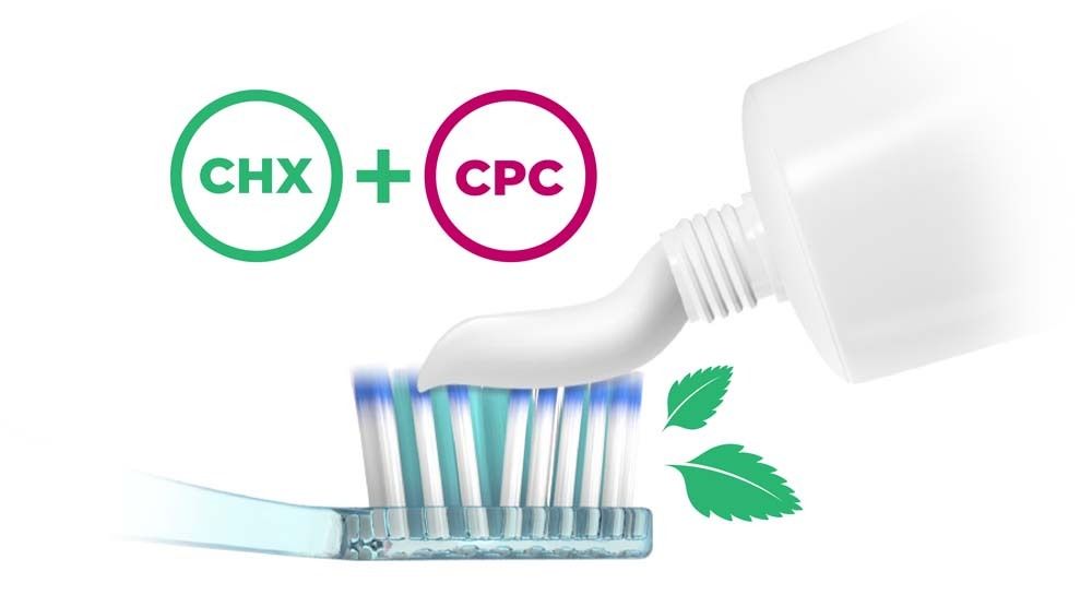 Il dentifricio viene applicato su uno spazzolino. Logo CHX + CPC. Foglie verdi. Tubo di dentifricio.