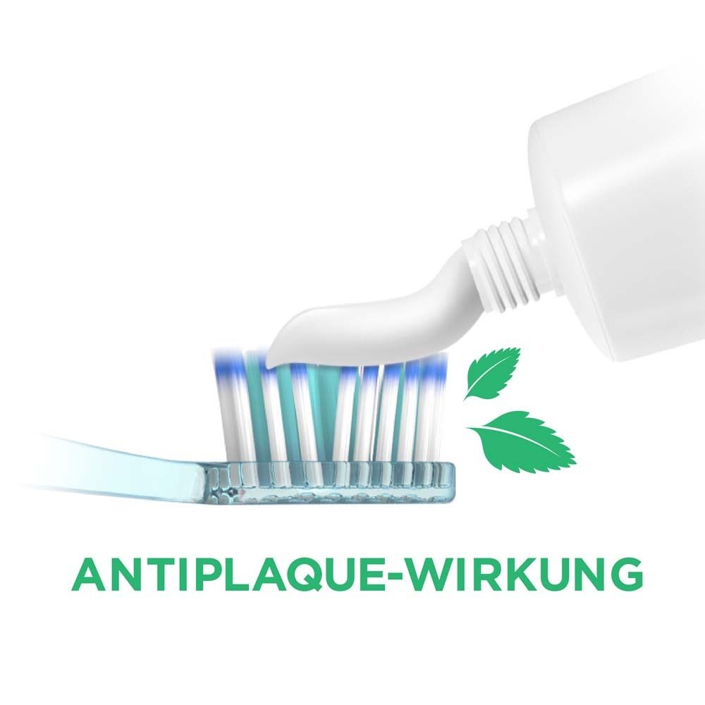 Il dentifricio viene applicato su uno spazzolino. Testo: EFFETTO ANTI-PLACA. Foglie verdi.