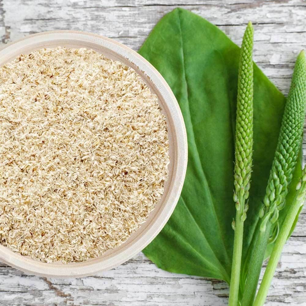 nu3 Bucce di Psyllium Organico