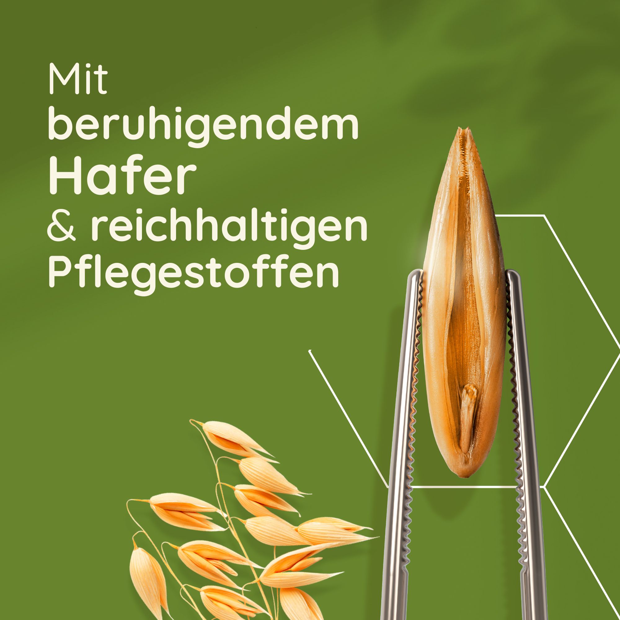 Grano d'avena in pinzetta. Testo: Con avena lenitiva e ingredienti nutrienti. Sfondo verde.